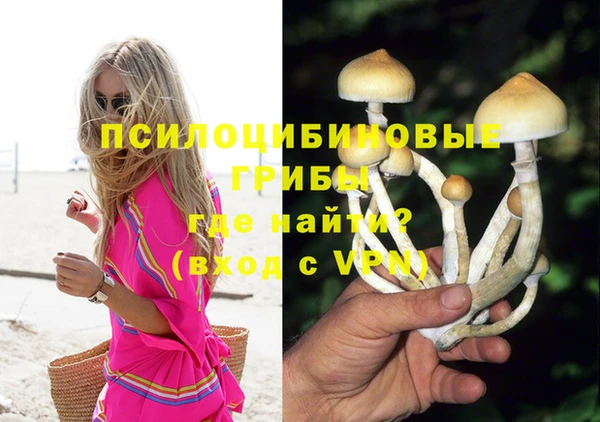 ГАЛЛЮЦИНОГЕННЫЕ ГРИБЫ Всеволожск