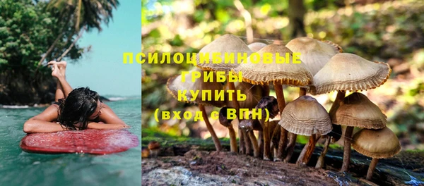 марки nbome Осинники
